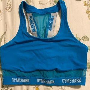 Gymshark Horizon Mesh Bikini Top